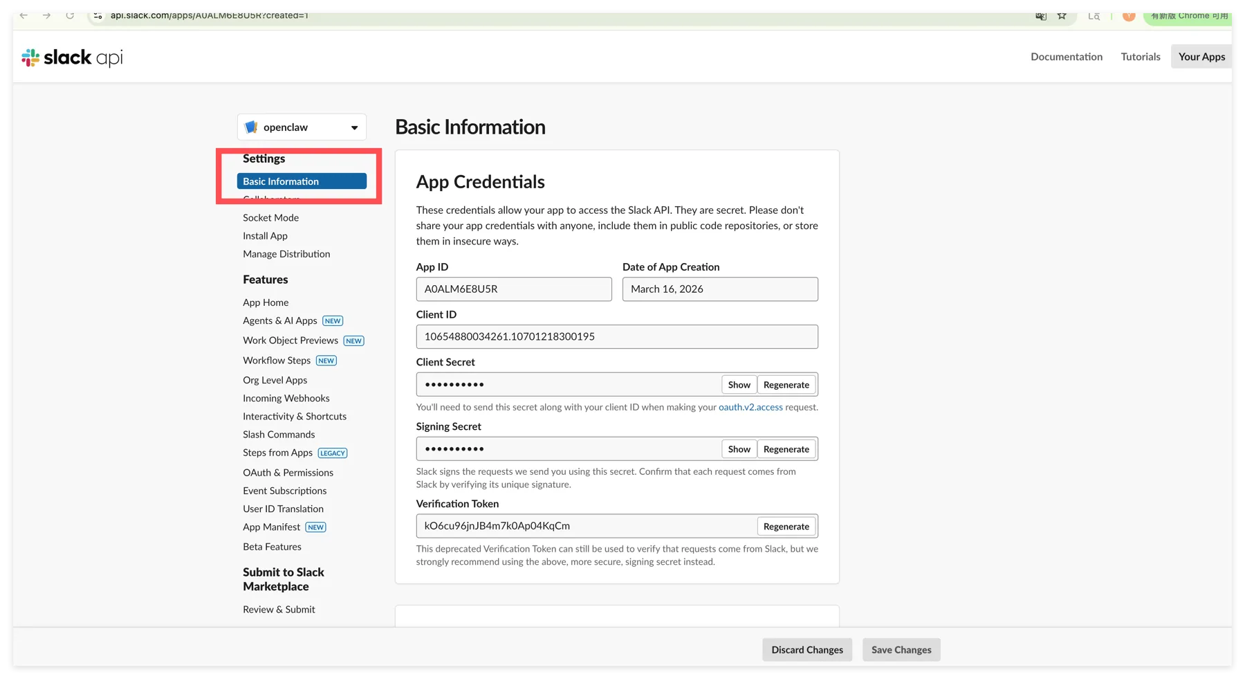 Open Basic Information in the Slack app