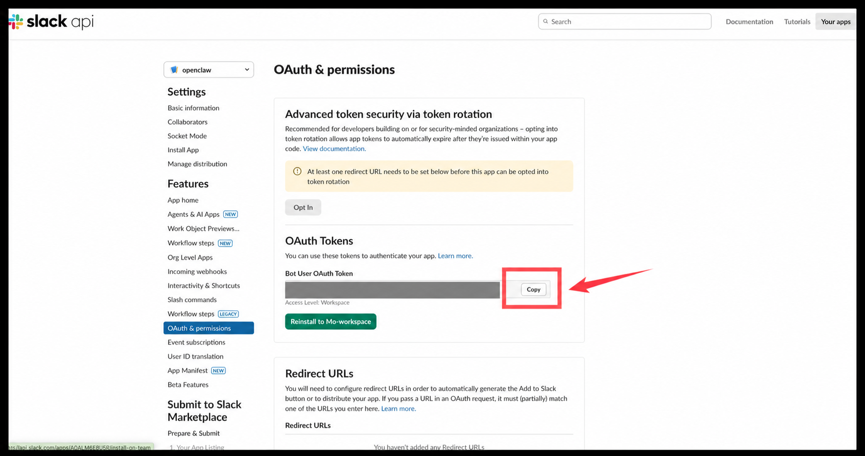 Copy the Slack Bot User OAuth Token