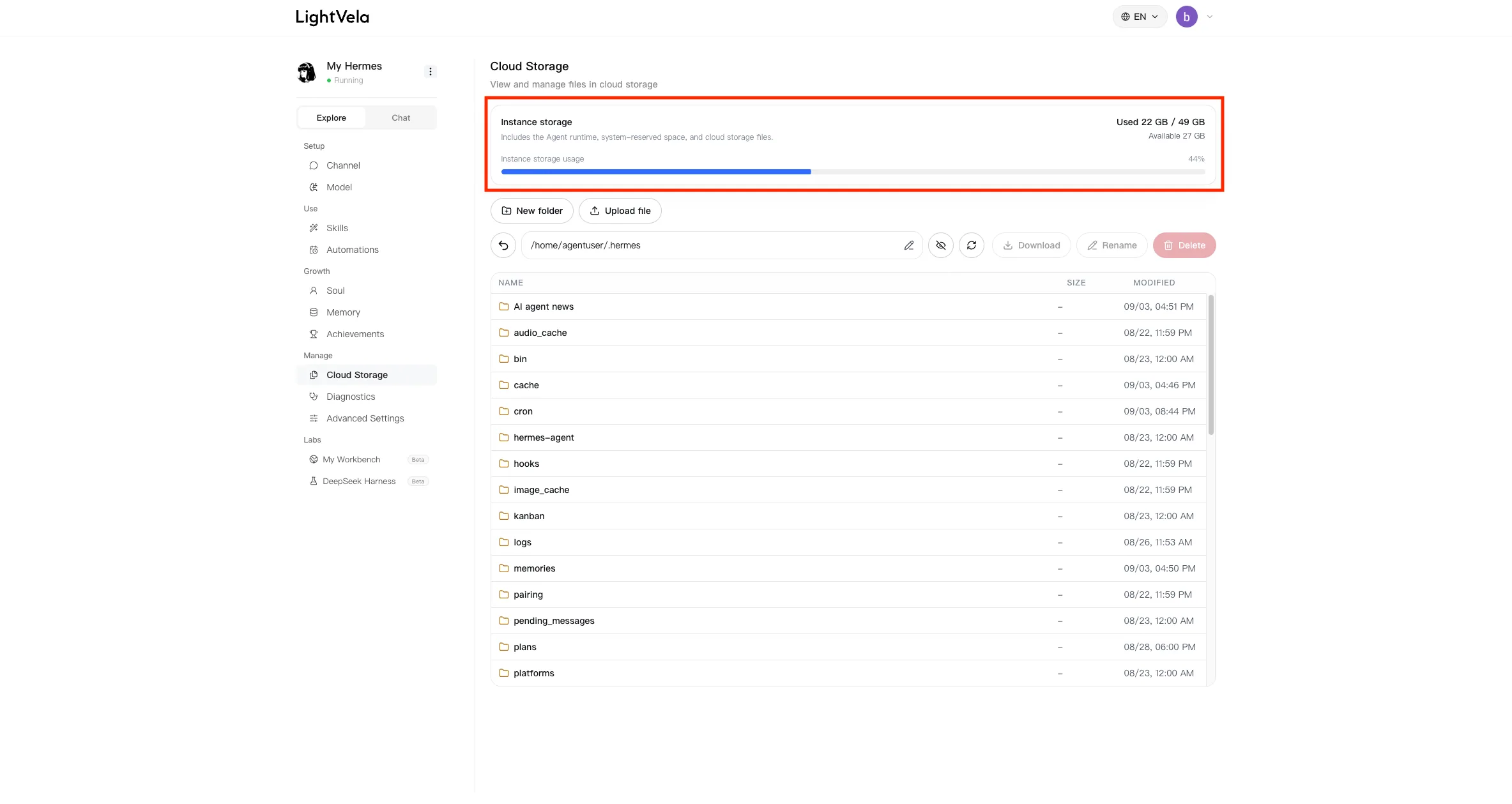 View Your Agent Instance Storage at a Glance